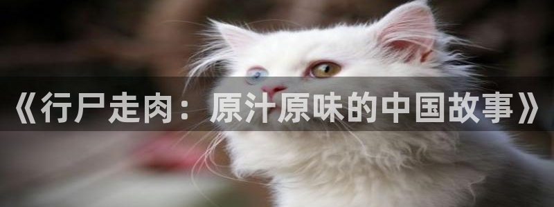 拷贝漫画繁：《行尸走肉：原汁原味的中国故事》