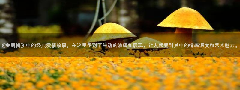 看拷贝漫画推荐app：《金瓶梅》中的经典爱情故事，在这里得到了生动的演绎和展现，让人感受到其中的情感深度和艺术魅力。